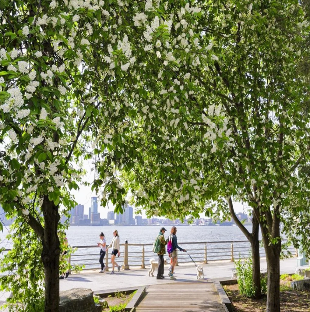 Parken in New York
Parks in New York