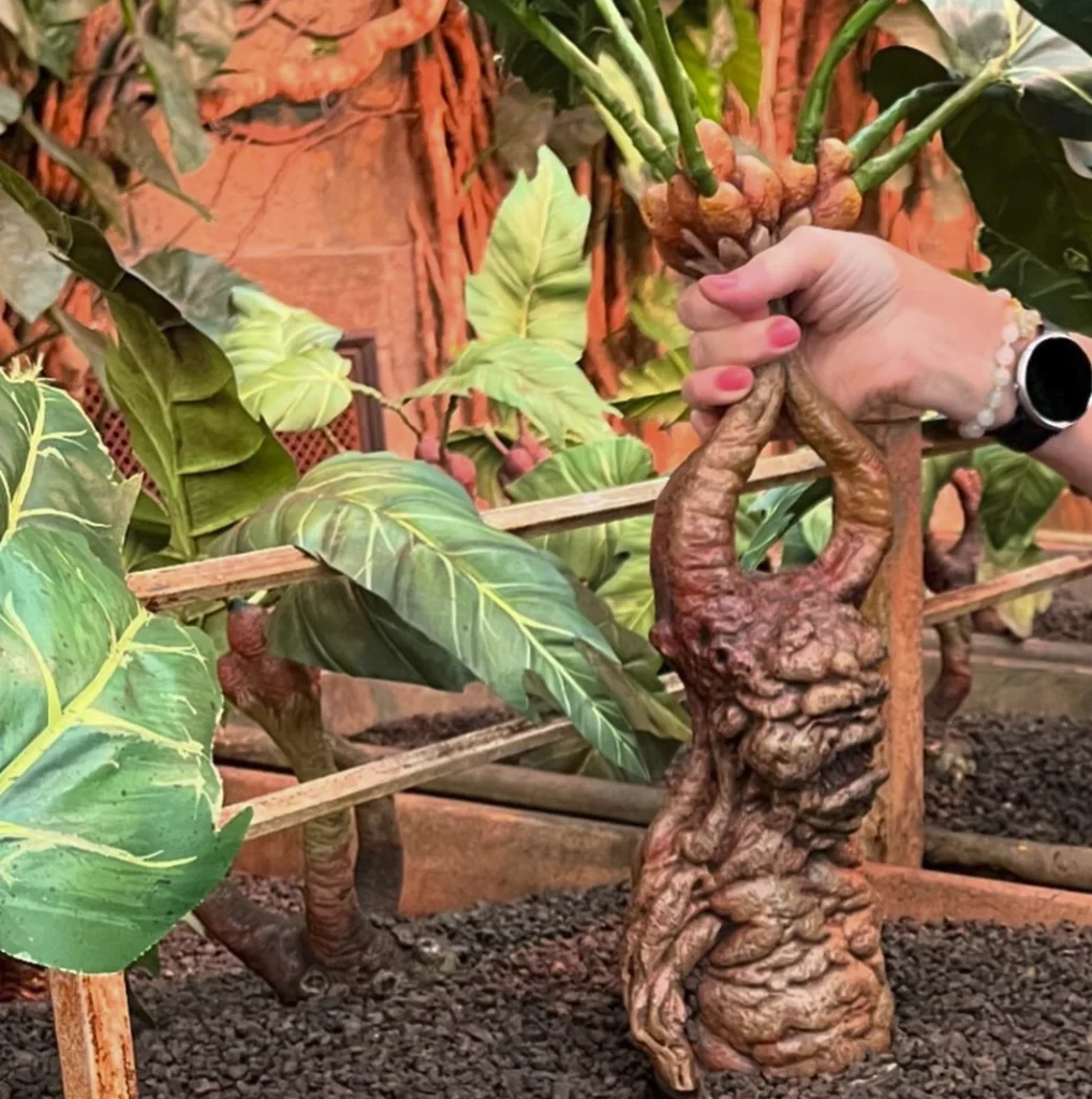 Professor Sprout’s Greenhouse-Harry Potter tour in London