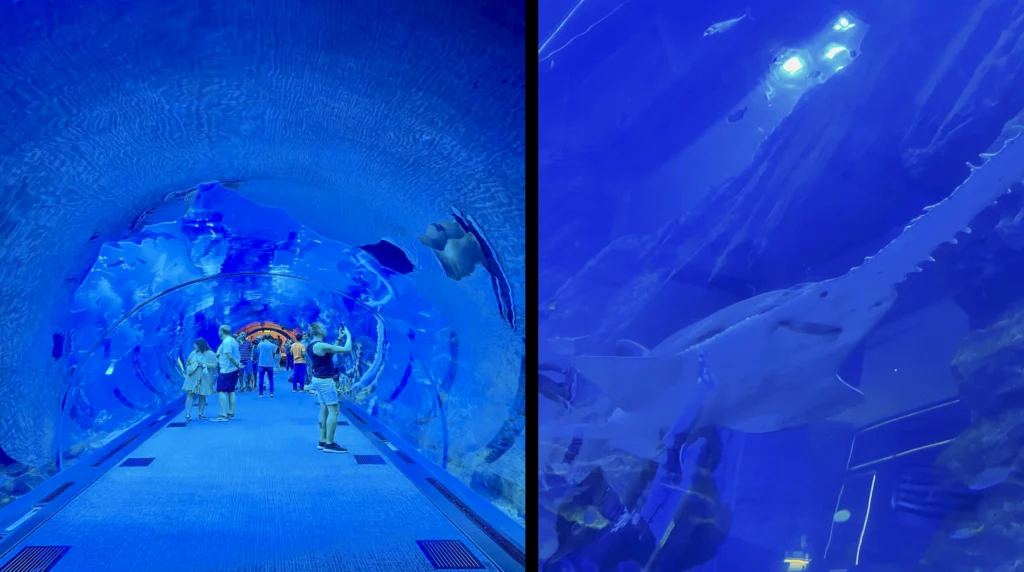 Dubai Aquarium