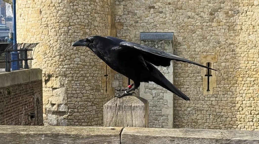 Tower of London