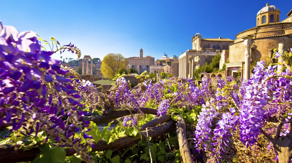 Rome bezoeken visit Rome Besuchen Sie Rom Visiting Rome rom besichtigen