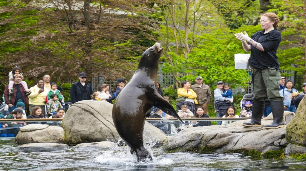 Central park zoo