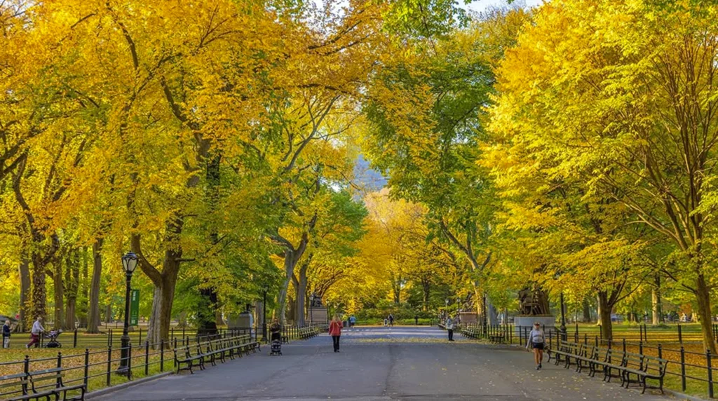 The Mall-central park