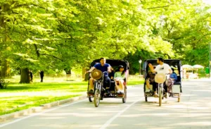 Fietstaxi-in-New-York