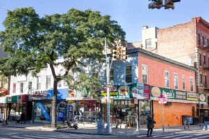 The Bronx in New York City
