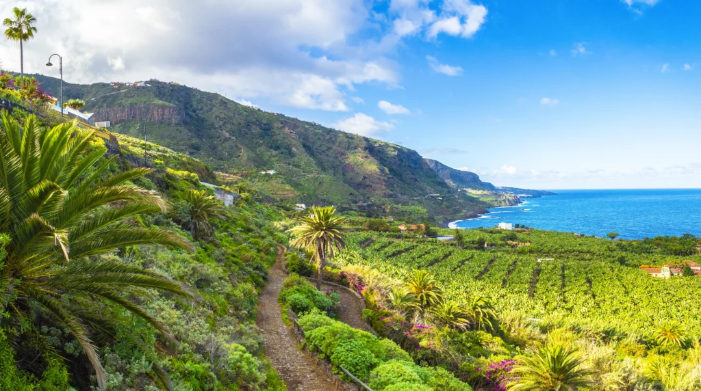 Holiday to Tenerife