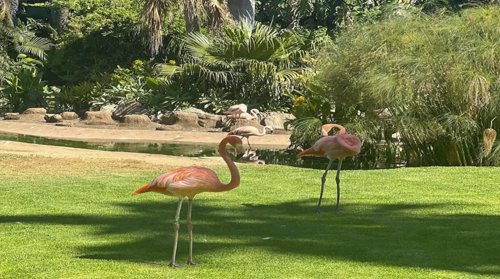 Loro Parque-Kathedraal van de Natuur