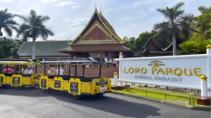 Loro Parque -Tenerife