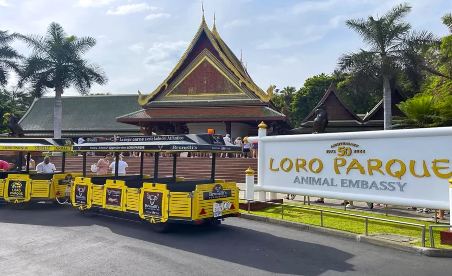 Loro Parque -Tenerife