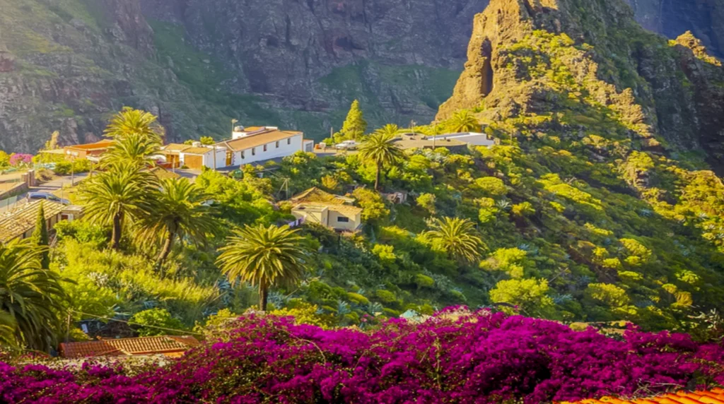 Bergdorp Masca-tenerif-spanje